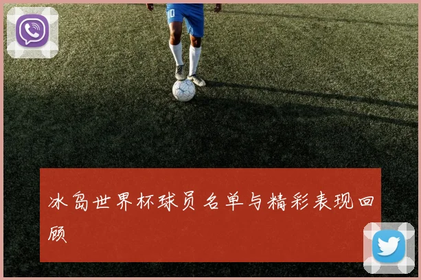 冰岛世界杯球员名单与精彩表现回顾