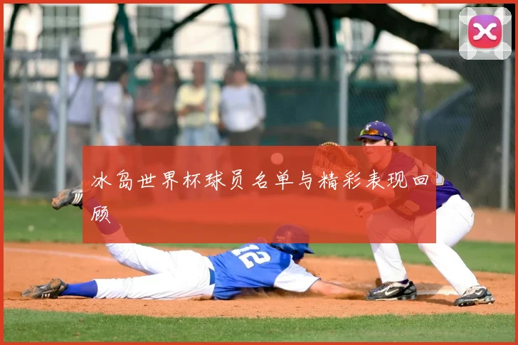 冰岛世界杯球员名单与精彩表现回顾